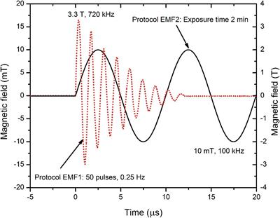 Overcoming Antimicrobial Resistance in Bacteria Using Bioactive Magnetic Nanoparticles and Pulsed Electromagnetic Fields